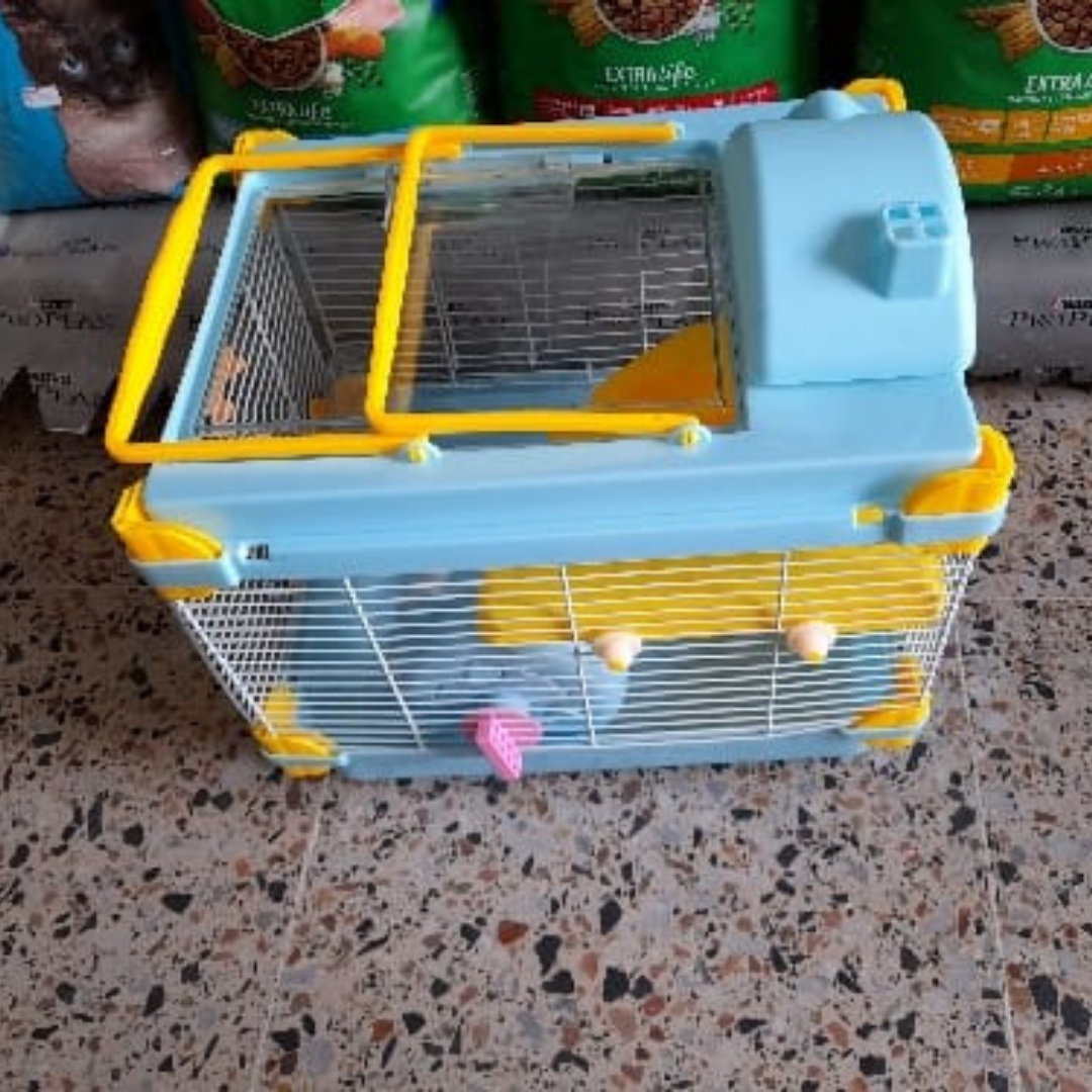 Producto 4